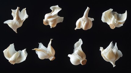 34.A collection of flying garlic cloves captured in mid-motion against a black background. Each clove is positioned at different angles, showcasing their natural curves and rough skins, illuminated