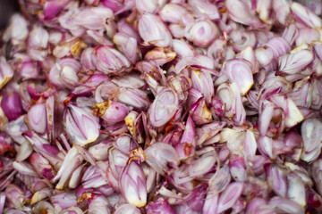 Red Onion after chopping in a bowl. Food Ingredients