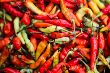 Pile of fresh red chili peppers and Cayenne pepper. Food ingredients