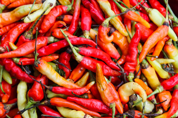 Pile of fresh red chili peppers and Cayenne pepper. Food ingredients