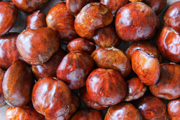 Dogfruit (Archidendron pauciflorum) an Indonesia commonly called djenkol, jengkol or jering. Food Ingredients