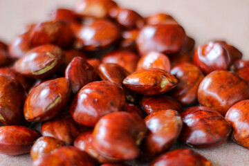 Dogfruit (Archidendron pauciflorum) an Indonesia commonly called djenkol, jengkol or jering. Food Ingredients