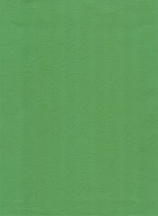 Green Color Paper Textured Background