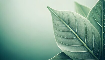 Obraz premium Leaf macro with dewdrops, intricate natural design, 3D illustration.