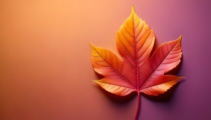 Leaf with autumn colors, close-up, soft contrast, natural focus, 3D illustration.