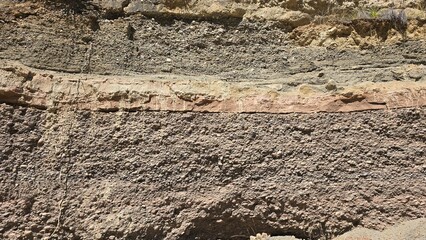 Cross-section of the grown showing different colour layers of soil with plants growing on the surface