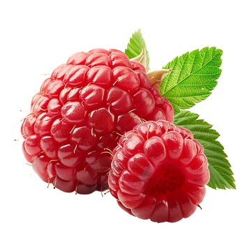 Raspberry with Transparent Background