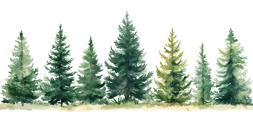 Christmas trees Vector watercolor illustration,Forest, fir trees, pine trees, woods watercolor illustration,festival set