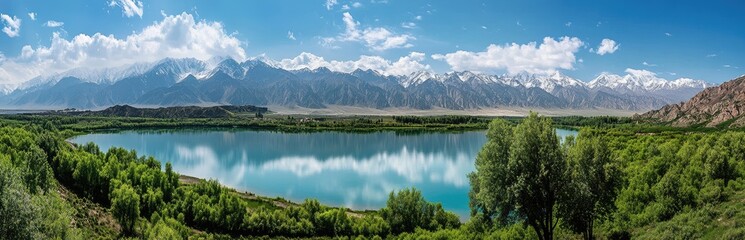 A panoramic view of the endless forests and snow-capped mountains