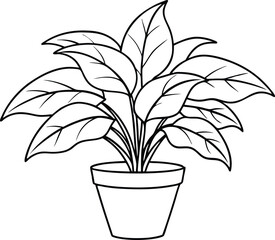 House plant in a pot line art, house plant outline vector 