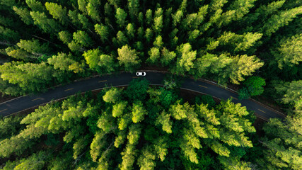 Aerial view of dark green forest road and white electric car Natural landscape and elevated roads...