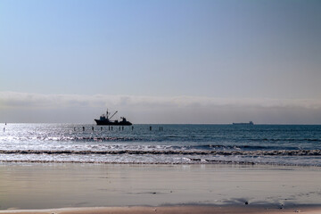 Old timbers from an ancient bay protrude from the sea, in the background a merchant navy ship