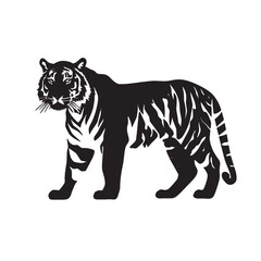 Fototapeta premium silhouette of a tiger in black and white