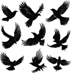 Heron Bird Silhouettes on Transparent Background, Elegant Heron Bird Silhouette Set