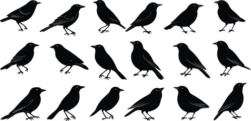 Vector Silhouettes of Birds in Flight , Set of Bird Silhouettes in Black Vector,Silhouettes Vector Collection