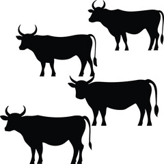 , silhouette of a cow, silhouette of a bullsilhouettes of cows