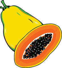 Papaya  Vector illustration healthy fruit 