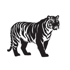 Obraz premium Side View tiger outline illustration