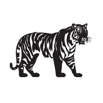 recommend clip art: Side View Hand drawn tiger outline illustration