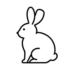 Obraz premium white rabbit