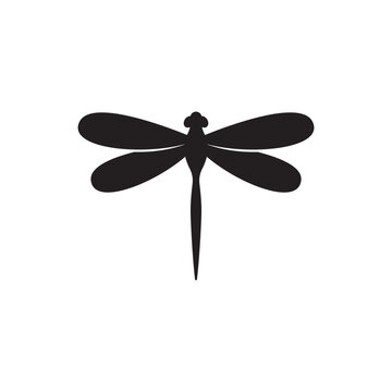dragonfly icon vector