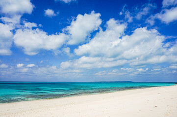 Fototapeta premium beach