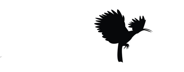 Eurasian Hoopoe Bird Silhouette And Vector Illustration.  © Syed Zakir Hossen