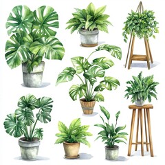 A collection of green indoor plants arranged in various decorative pots and stands