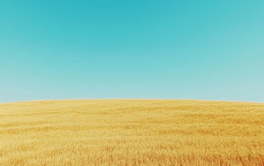 Fototapeta premium A serene landscape featuring a golden field under a clear blue sky.