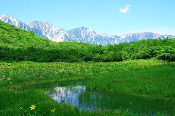 夏の白馬、八方尾根でトレッキング23