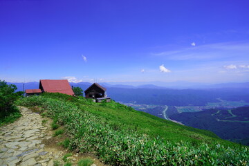 夏の白馬、八方尾根でトレッキング28