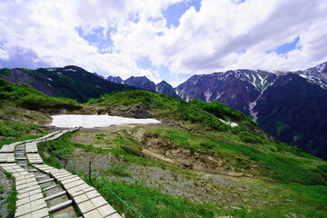 夏の白馬、八方尾根でトレッキング09