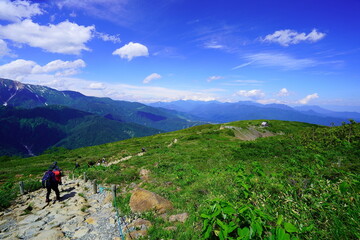 夏の白馬、八方尾根でトレッキング05