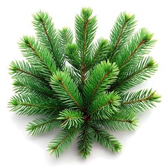 New Year’s Spruce Branches. Festive Evergreen Decor. Winter Spruce Background. Holiday Spruce Greenery. Fresh Pine Branch Art.
