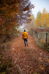 Man walking in a foggy autumn landscape