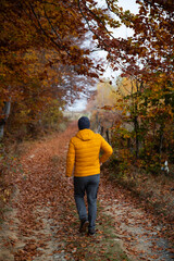 Fototapeta premium Man walking in a foggy autumn landscape