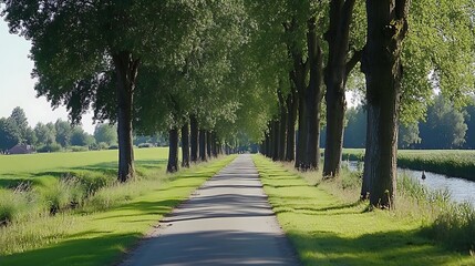 Fototapeta premium A paved path lined with trees runs through a grassy field, leading toward a canal in the distance.