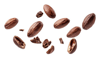 Dried Cocoa beans or seed falling in the air isolated on background, dried fruit ingredients for making chocolate.