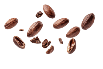Dried Cocoa beans or seed falling in the air isolated on background, dried fruit ingredients for making chocolate.