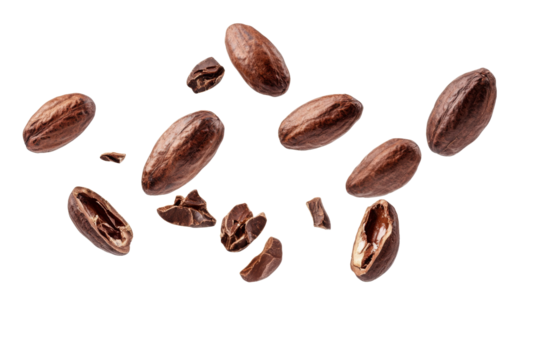 Dried Cocoa beans or seed falling in the air isolated on background, dried fruit ingredients for making chocolate.