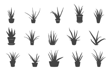 Aloe vera silhouette, Aloe vera svg, Aloe plant silhouette, Aloe plant svg, Aloe vera tree svg,  Aloe vera vector set.


