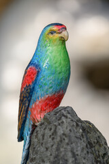 Close-up of a beautiful parrot figurine bird.
