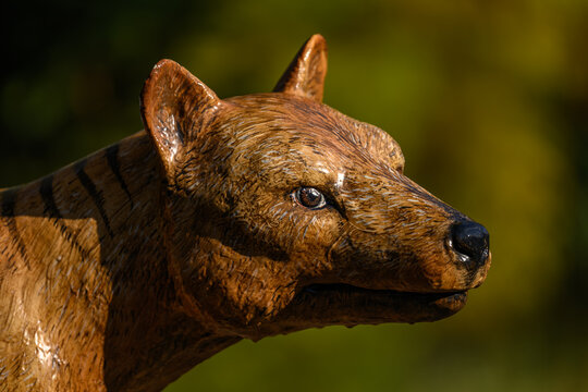 Close-up of the plastic head of a shrike.
