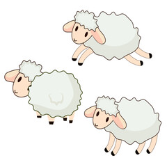 Three sheep without background vector image