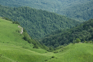 Armenian landscape. View from Mount Dimats on sunny summer day. Haghartsin, Tavush Province, Armenia..