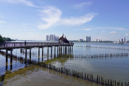 Sungei Buloh Wetland Reserve is Singapore's first ASEAN Heritage Park and a treasured site for nature enthusiasts, located in the northwest of Singapore. This nature reserve is a significant 
