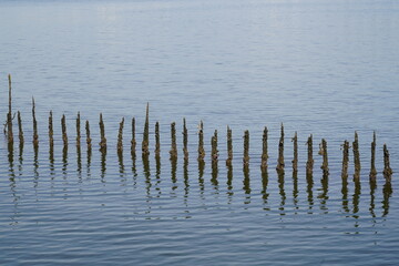 Sungei Buloh Wetland Reserve is Singapore's first ASEAN Heritage Park and a treasured site for nature enthusiasts, located in the northwest of Singapore. This nature reserve is a significant  