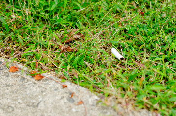 公園内の植生の中にポイ捨てされたタバコが落ちている風景