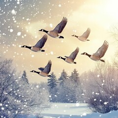 Obraz premium flock of birds