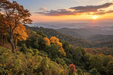 The trees of Tung Bua Tong forest are set ablaze with warm colors as sunset approaches in the distance, tree, weather, natural